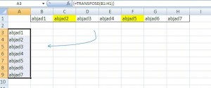 paste orientasi data eksel