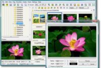FastStone Image Viewer, Image Viewer dan Image Editor Gratis