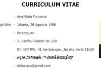 curriculum vitae untuk lamaran pekerjaan