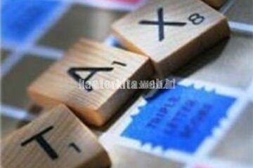 Download Form SPT Masa, SPT Tahunan, SSP, dan SSBP 2013 dan 2014