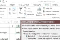 memisahkan kata di excel