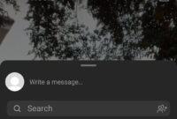 Cara Membagikan Reels orang lain di Story Instagram