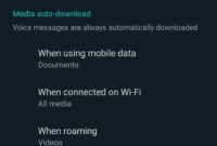 Cara Setting WhatsApp Agar Tidak Otomatis Mendownload Gambar Atau Video 4