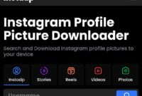 Cara Download Foto Profil Instagram Dengan instadp 2
