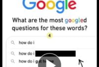 Cara Download Story Instagram Dengan instadp 1