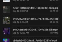 Cara Menyimpan Status WhatsApp di Android menggunakan File Manager 1